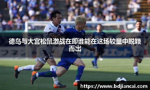 德岛与大宫松鼠激战在即谁能在这场较量中脱颖而出